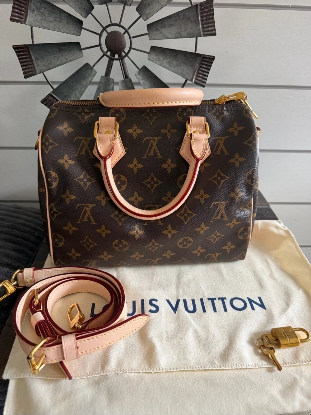Louis Vuitton Speedy Bandouliere 25 bag